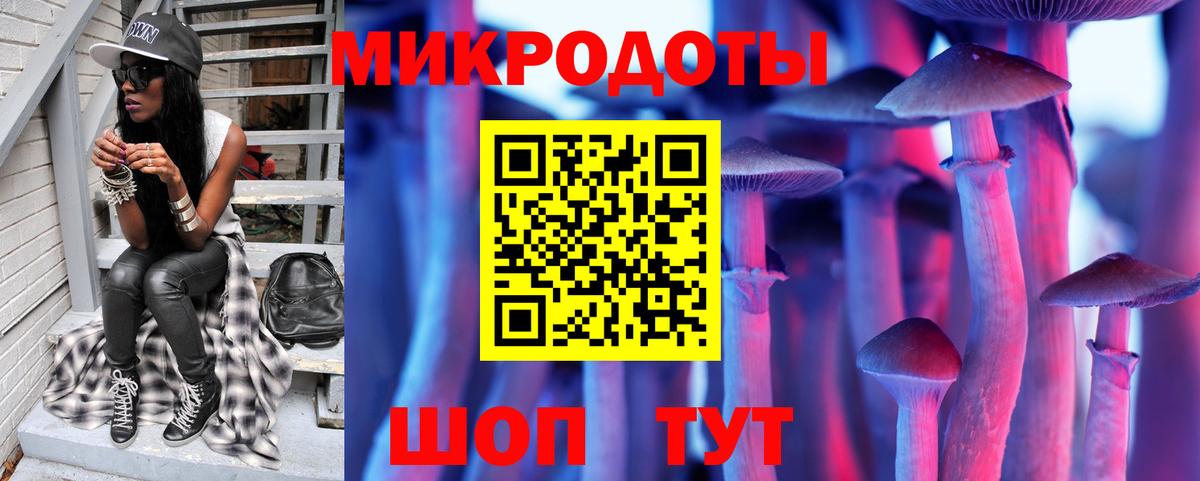 Псилоцибиновые грибы Psilocybine cubensis Когалым